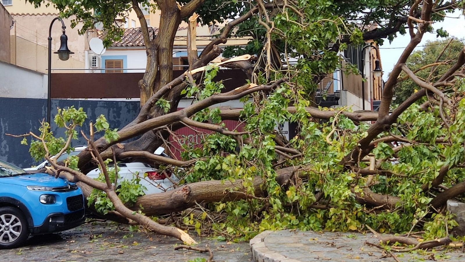 Informativo 24 horas - 20h - 27/08/23 - ver ahora