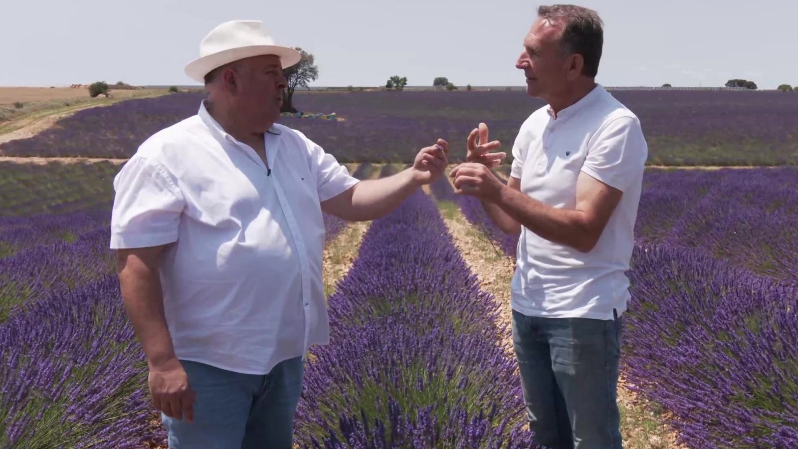 Aquí la Tierra - 27/08/23 - ver ahora