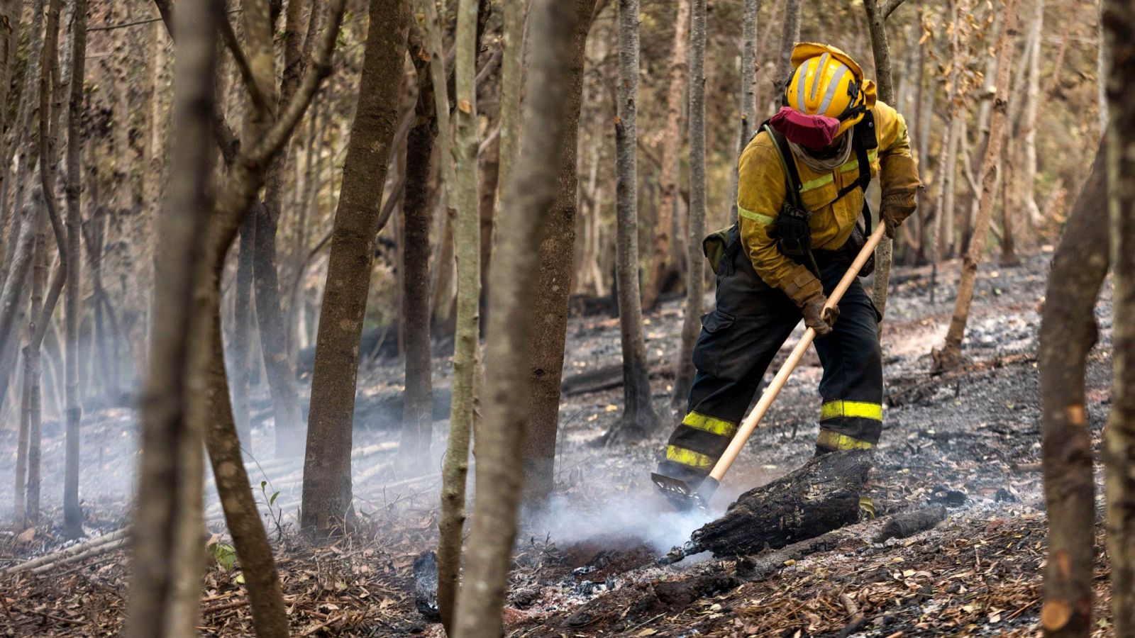 Desalojan siete viviendas por la reactivación de un foco del incendio de Tenerife