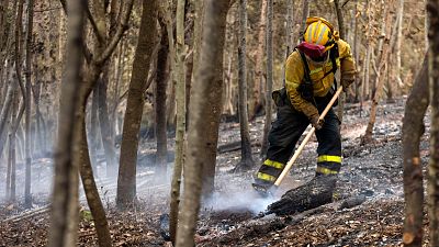 Desalojan siete viviendas por la reactivacin de un foco del incendio de Tenerife