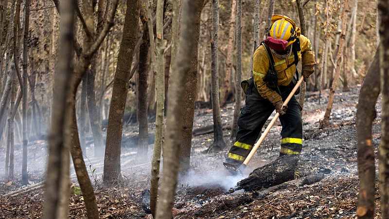 Desalojan siete viviendas por la reactivación de un foco del incendio de Tenerife