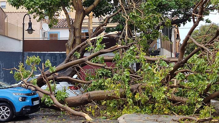 Telediario Matinal - Telediario Matinal en 4' - 28/08/2023