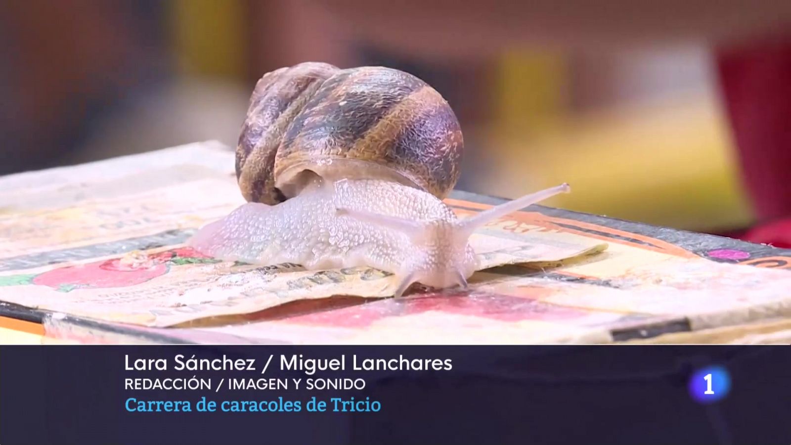 Telerioja en 2' - 28/08/23 - Ver ahora