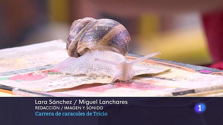 Informativo Telerioja - Telerioja en 2' - 28/08/23