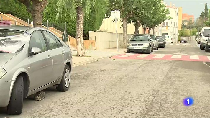 L'Informatiu - S'avaluen els danys pel temporal del cap de setmana