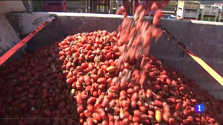 L'informatiu - Comunitat Valenciana - L'Informatiu de la Comunitat Valenciana 2 - 29/08/23