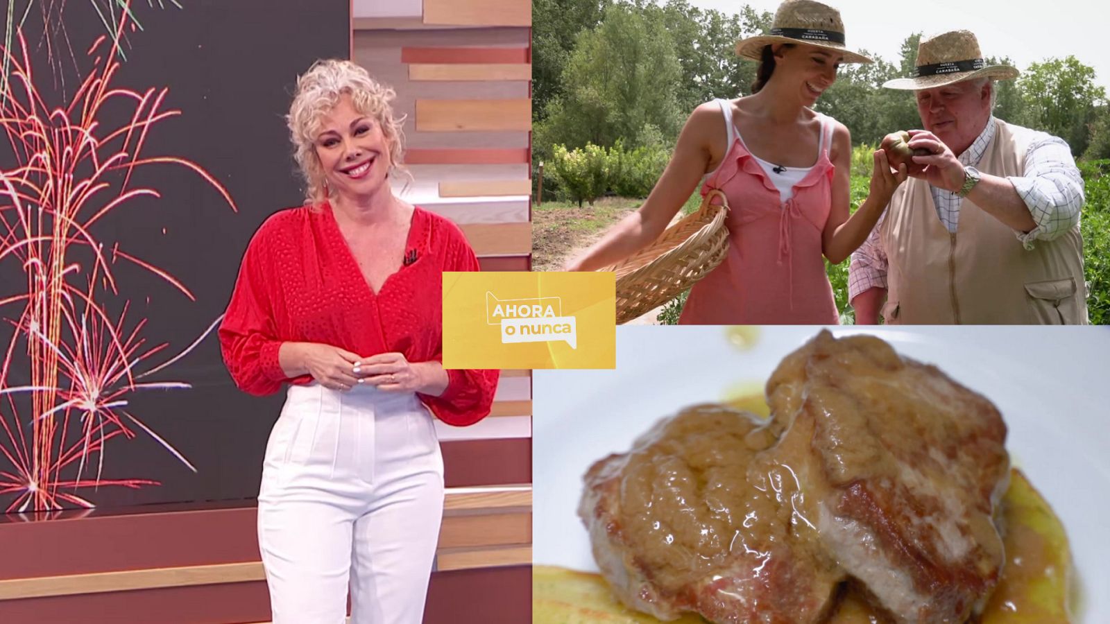 Ahora o nunca - Programa 157 - ver ahora