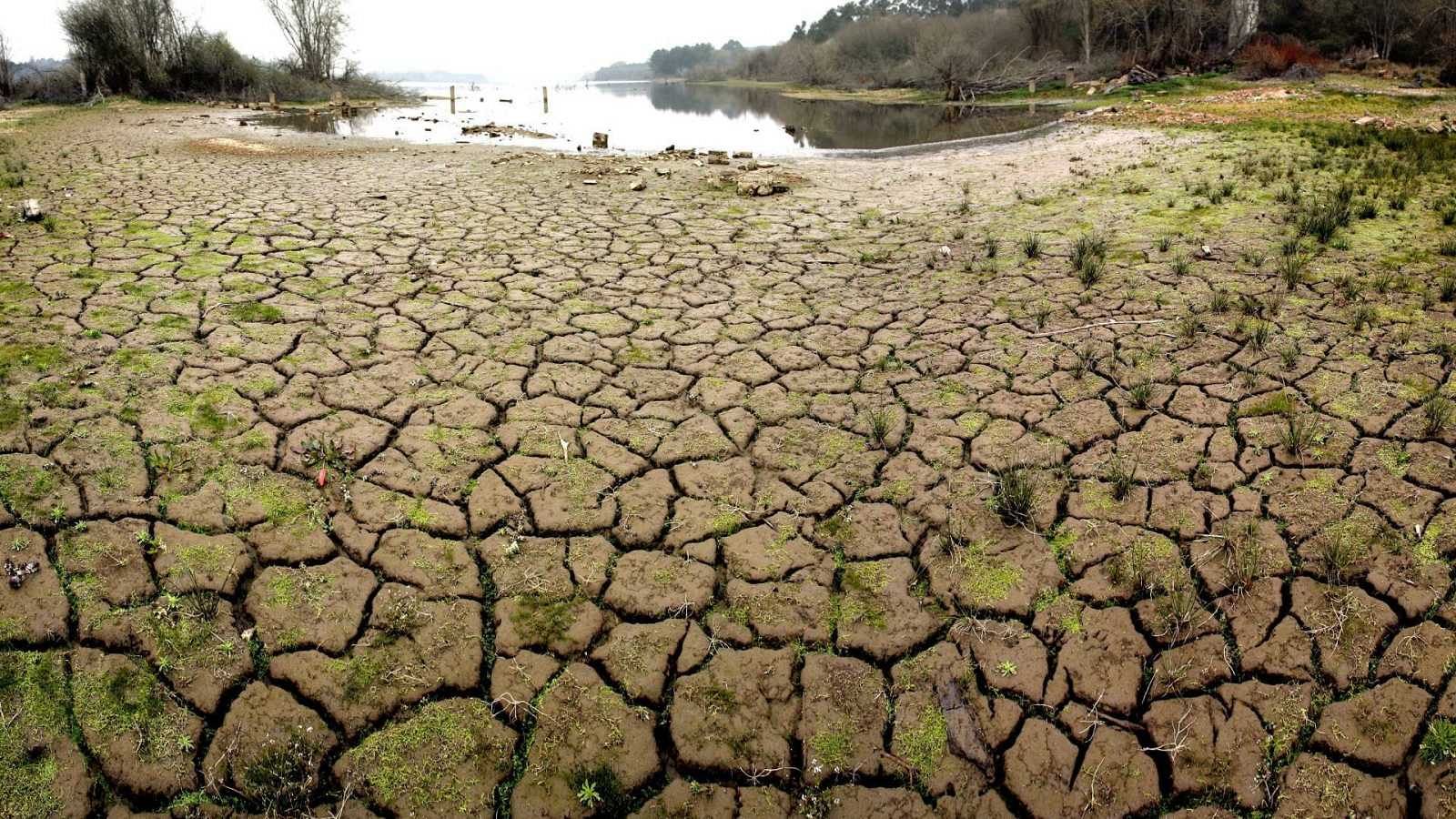 La industria alimentaria alerta del impacto de la sequía en el suministro de alimentos y bebidas