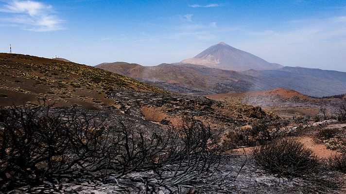 Lluvias en junio o menos olas de calor seguidas: ¿por qué ha habido menos incendios en 2023 que en 2022?