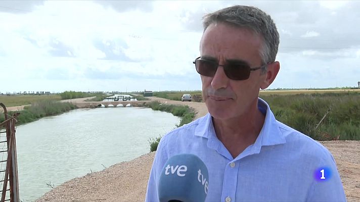 L'Informatiu - Estudien solucions per drenar les finques afectades per la salinització