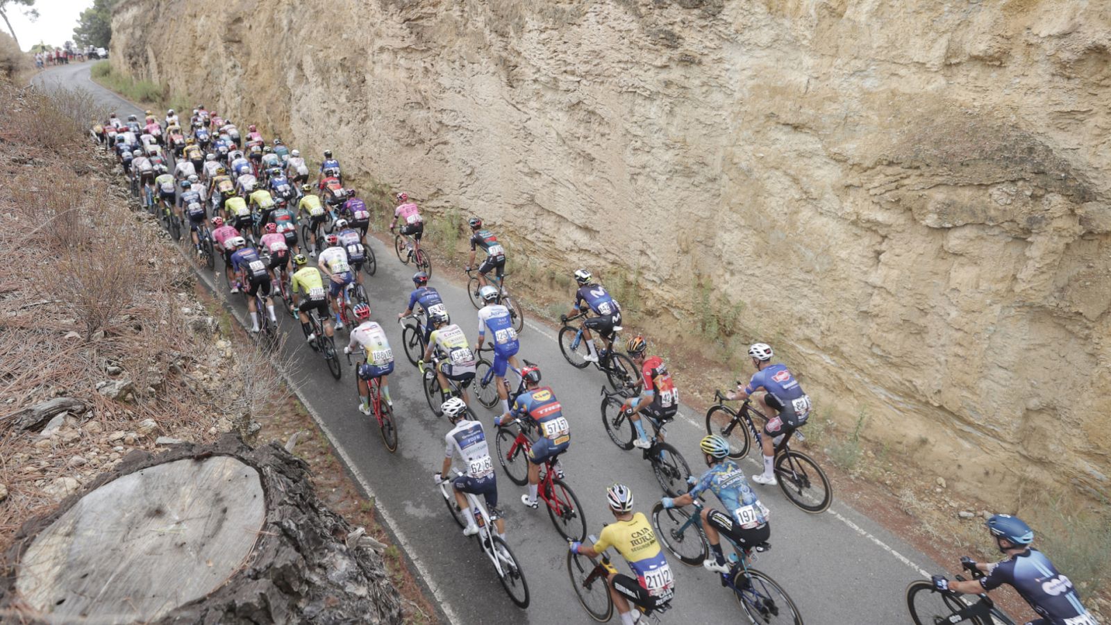 El rodillo - Programa 8