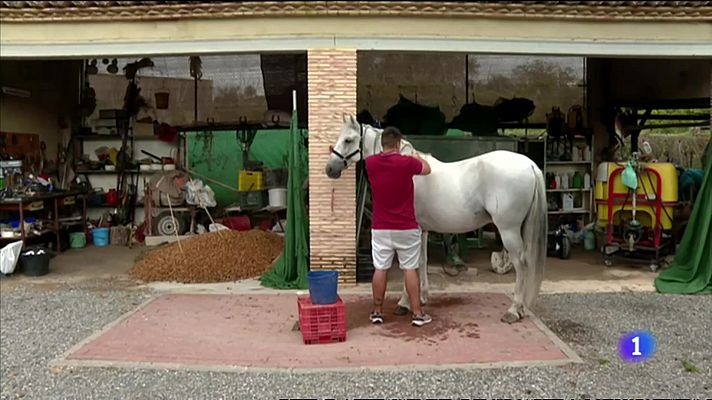 L'informatiu - Comunitat Valenciana - L'Informatiu Comunitat Valenciana 1 - 04/09/23