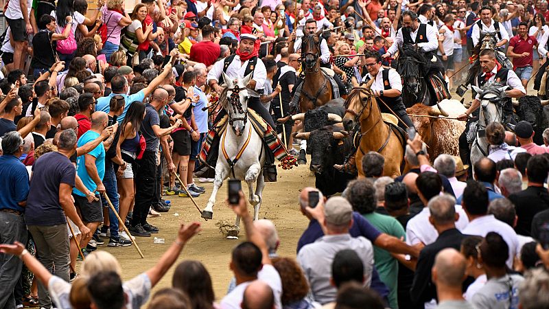 Els cavallistes són els encarregats de dirigir la manada de sis bous i un mans pel carrer Colom