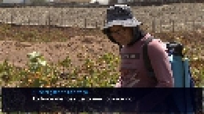 Telecanarias - Canarias en  2' - 04/09/2023