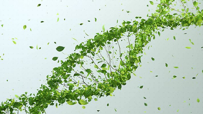 La comunidad científica avala la edición genética de plantas para mejorar los cultivos