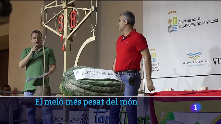 Informatiu Balear - Melons de rècord