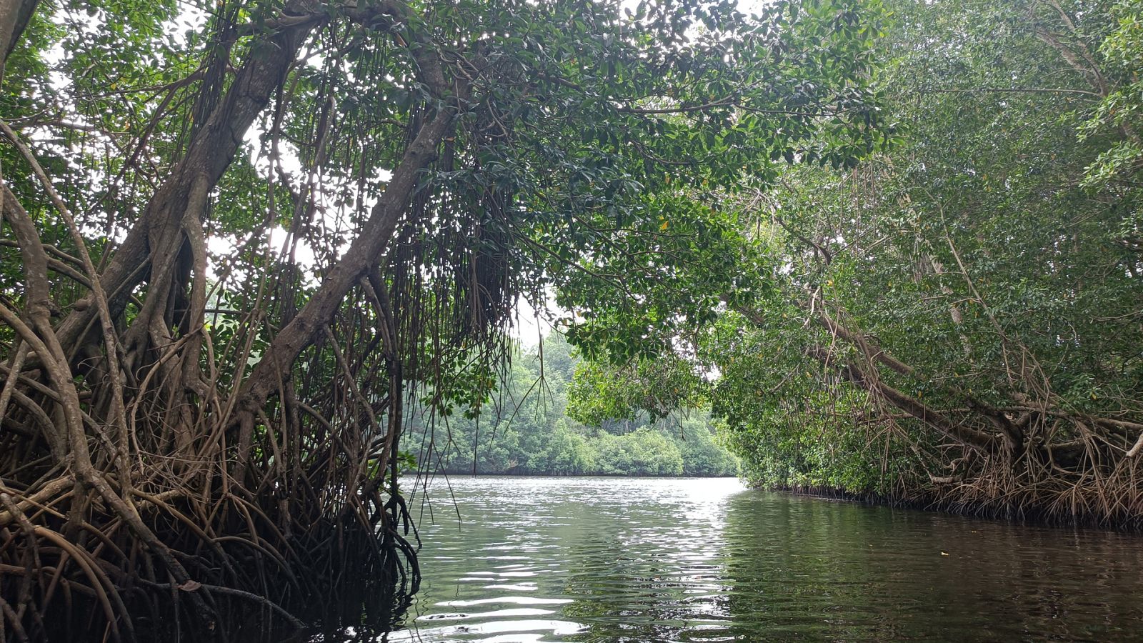 Descubrir - El Soconusco - ver ahora