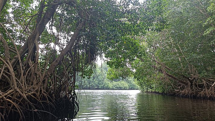 Descubrir - El Soconusco
