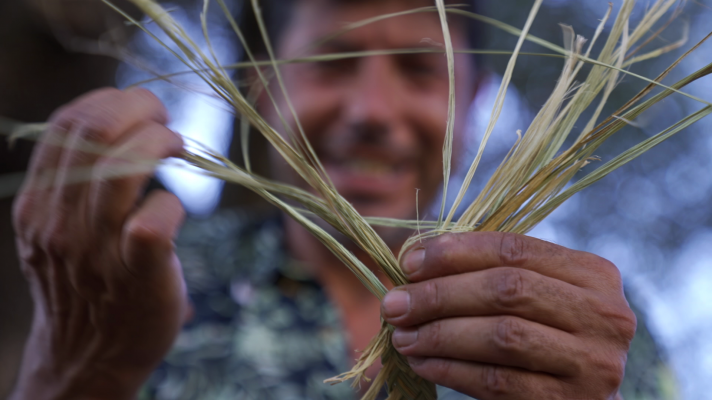 Conectando la España rural