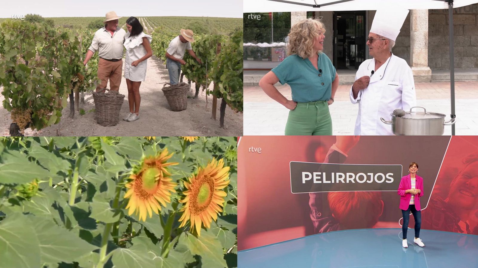 Ahora o nunca - Programa 161 - ver ahora