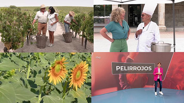 Ahora o nunca - Programa 161