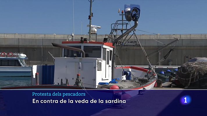 Clam dels pescadors catalans contra la veda de la sardina