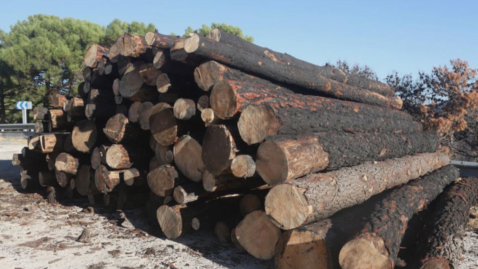 Dos años después del incendio - Ver ahora