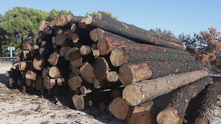 Noticias Andalucía - Dos años después del incendio