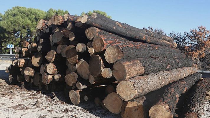 Noticias Andalucía - Dos años después del incendio