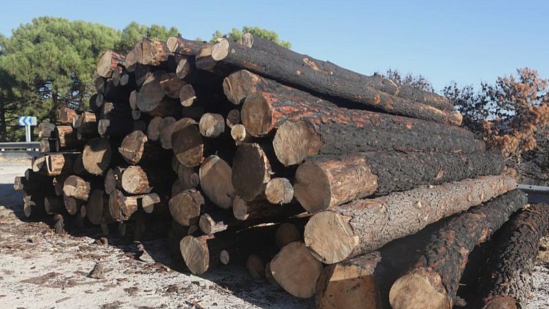 Dos años después del incendio - Ver ahora