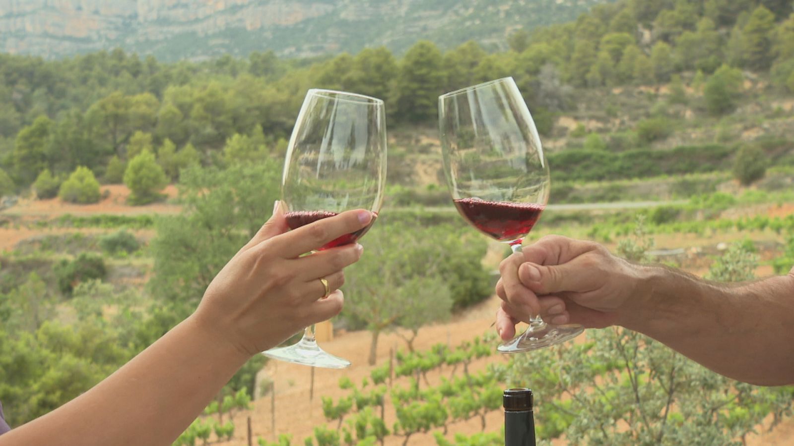 Agrosfera - 09/09/23 - ver ahora