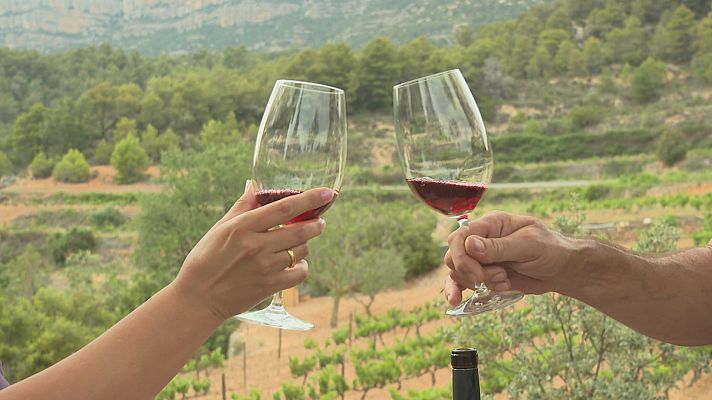 Agrosfera - Agrosfera - 09/09/23