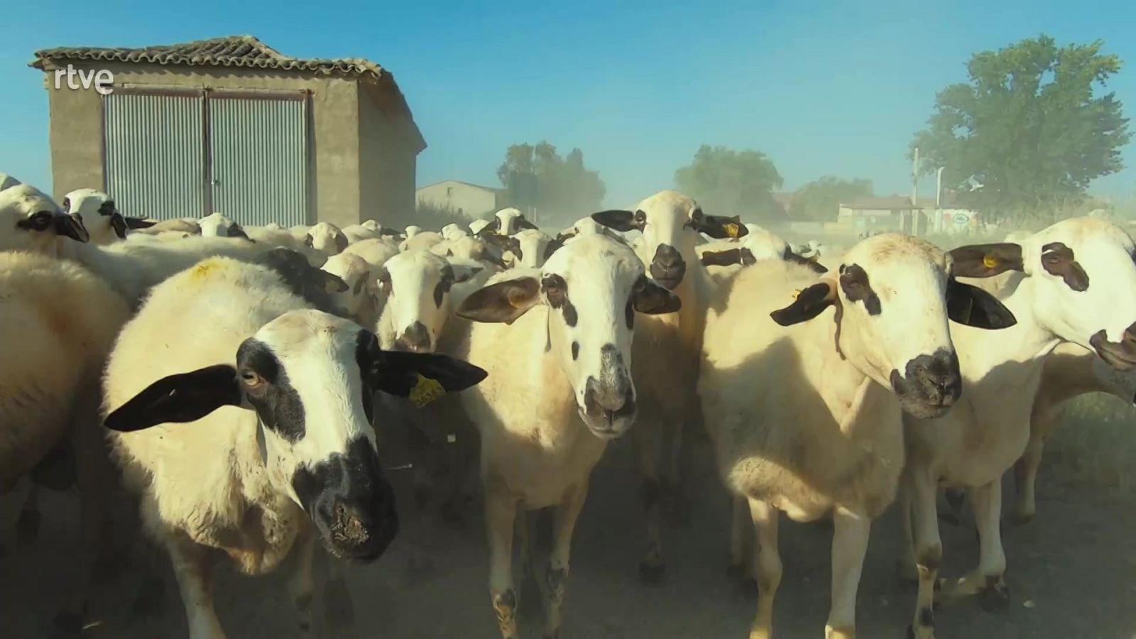 Aquí la Tierra - 10/09/23 - ver ahora