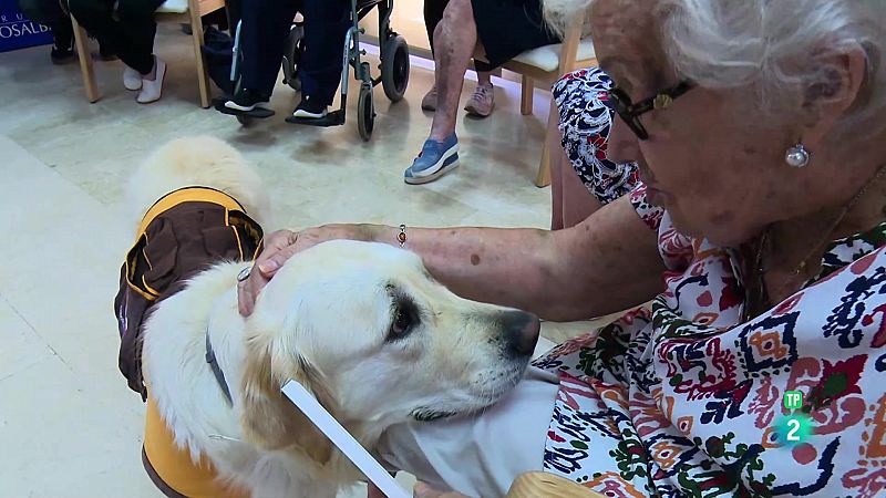 Terapia con mascotas para mayores