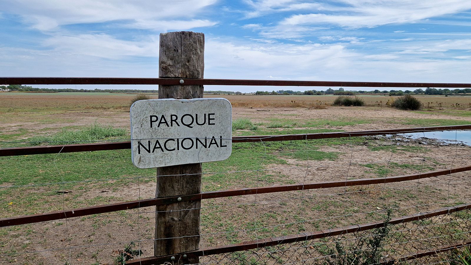 La Junta de Andalucía comprará 7.500 hectáreas para "blindar" Doñana