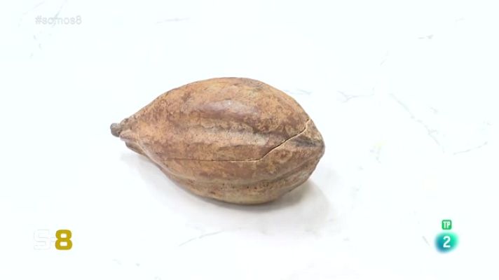 Somos 8 - Somos 8 - 12/09/2023