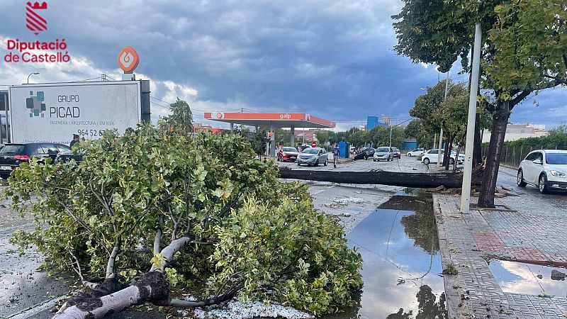 Una fuerte tormenta en Burriana, con vientos de 130 km/h, deja árboles caídos e inundaciones