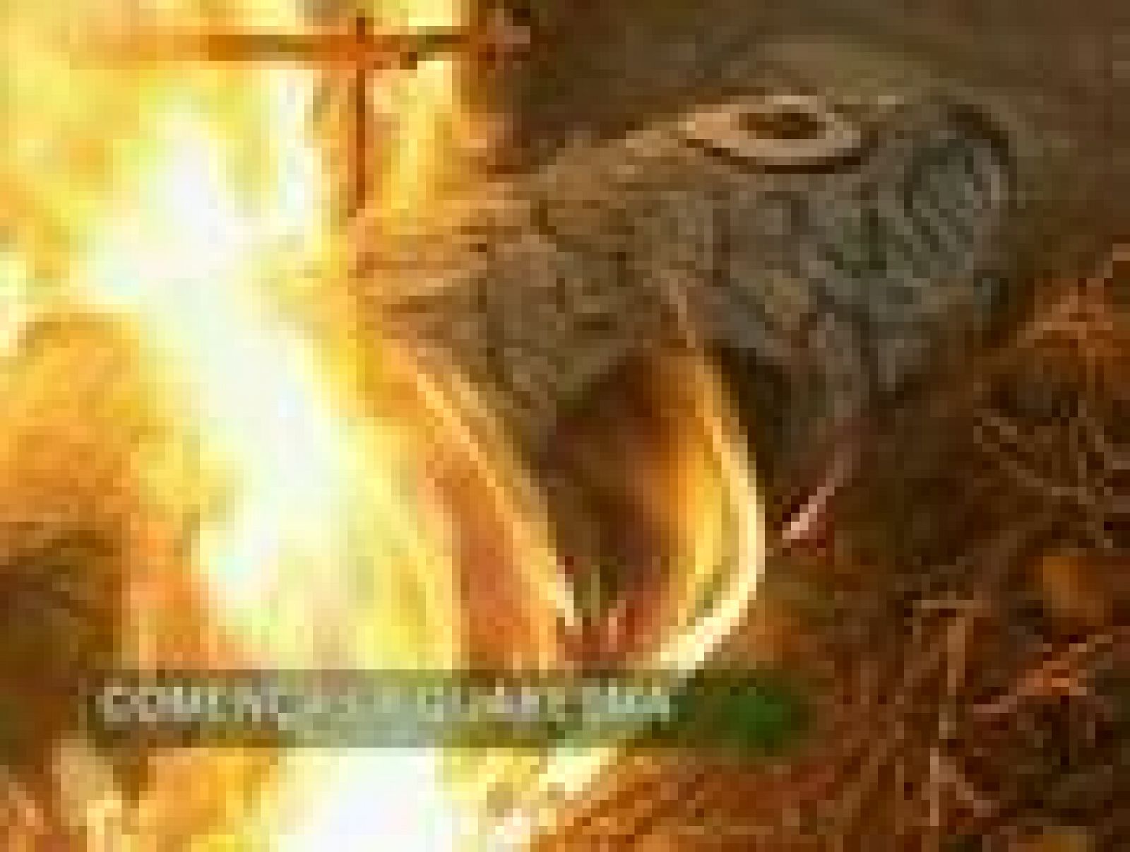 Informatiu Balear. Informatiu de les Illes Balears. (17/02/2010)