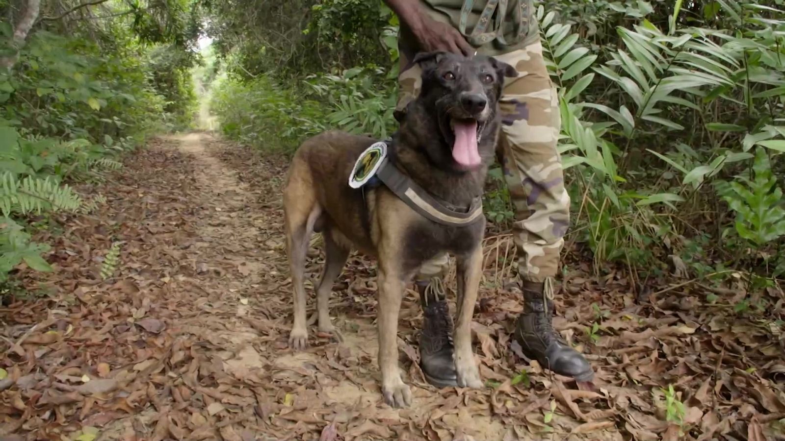Aquí la Tierra - 13/09/23 - ver ahora