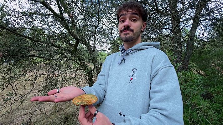 Va de verd - A buscar bolets