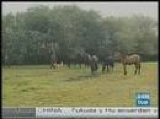  - El Chaitén sigue expulsando ceniza