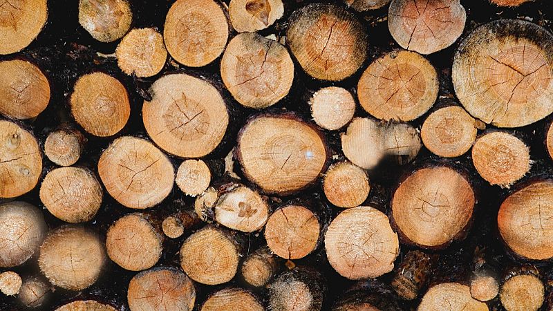 El último carpintero de ribera - Ver ahora