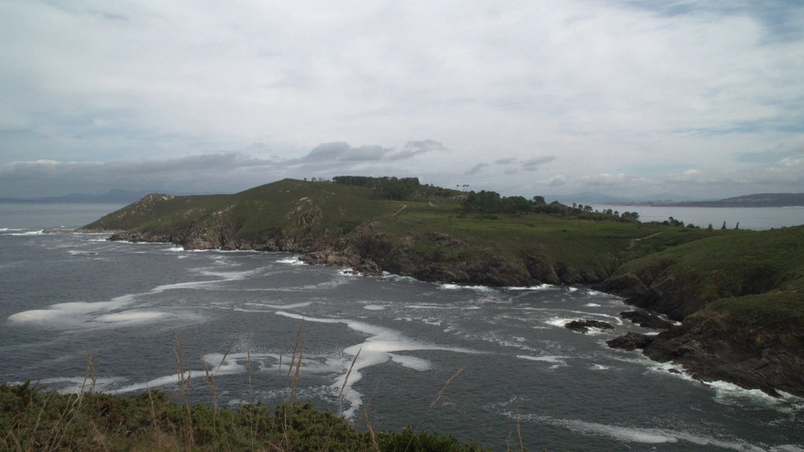 Agrosfera - 16/09/23 - ver ahora