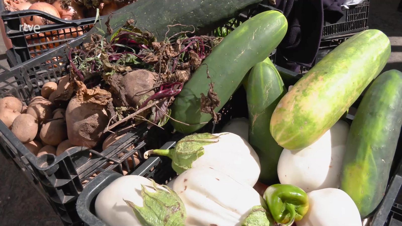 Aquí la Tierra - 17/09/23 - ver ahora