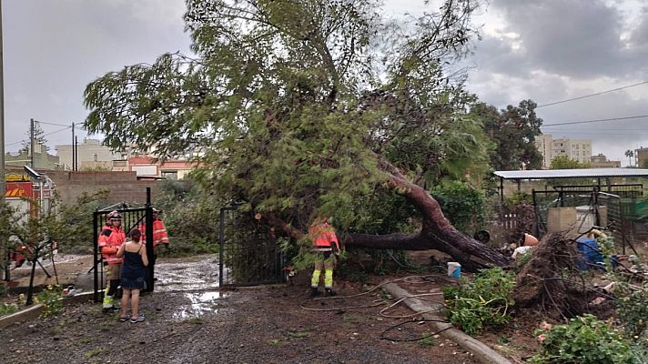 Telediario en lengua de signos - Telediario - 15 horas - 18/09/23 - Lengua de signos