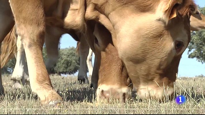 Noticias de Castilla y León - Castilla y León en 1' - 18/09/23