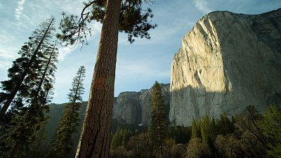 Amrica salvaje. 150 aos de parques nacionales en USA