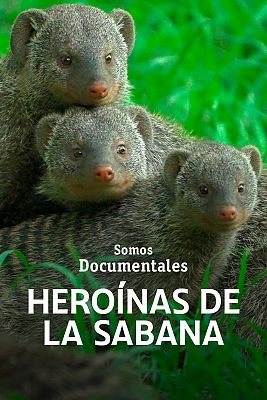 Heroínas de la sabana