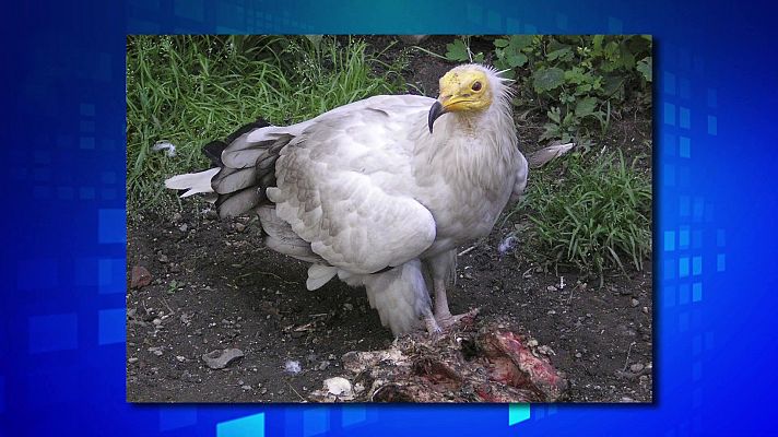 Saber y ganar - Saber y ganar - 19/09/23