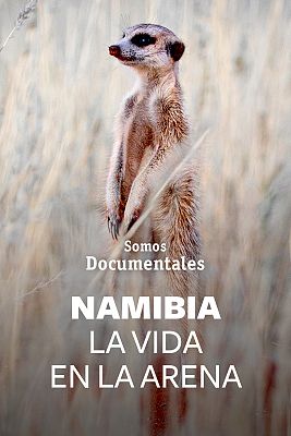 Namibia la vida en la selva